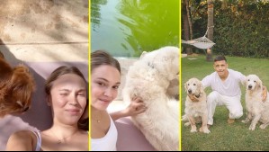 'Mi zoológico': La divertida publicación de Alexandra Litvinova junto a los perros de Alexis Sánchez