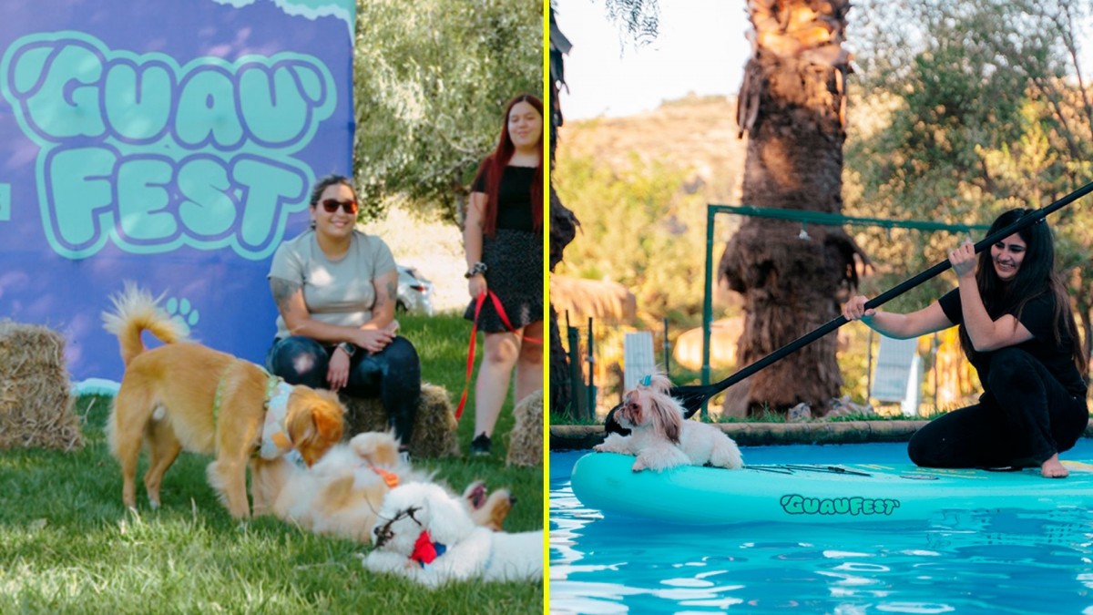 Avísale a tu mascota: Vuelve el GuauFest, el primer festival nacional exclusivo para perros