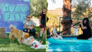 Avísale a tu mascota: Vuelve el GuauFest, el primer festival nacional exclusivo para perros