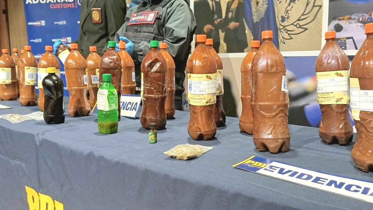 Brasileño intentó ingresar a Chile con 23 botellas de ayahuasca para usarla en ritual masivo en Santiago