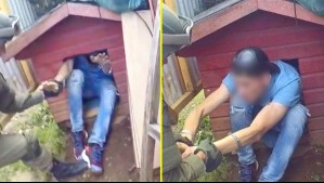 Se ocultó en la casa de un perro: El insólito escondite de un delincuente acusado de microtráfico en Valdivia