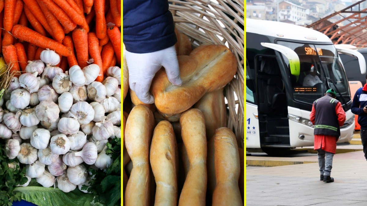 Pan, verduras y pasajes de buses: Estos son los otros precios que subirán por el alza de las bencinas y desde cuándo lo harán