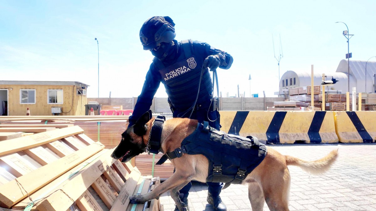 Masiva incautación de droga en Arica: Más de 68 toneladas de cocaína y ketamina iban ocultas en madera y caucho