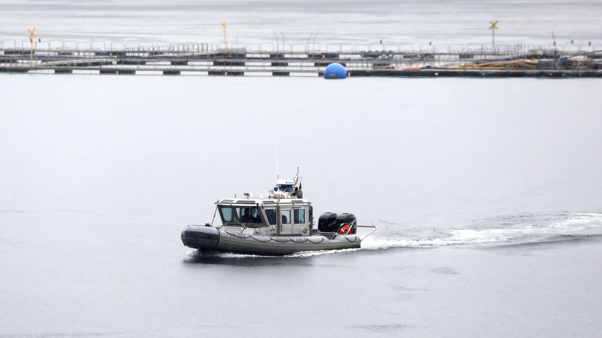 Operativo de búsqueda tras volcamiento de embarcación: Buscan a 3 tripulantes desaparecidos en Coquimbo