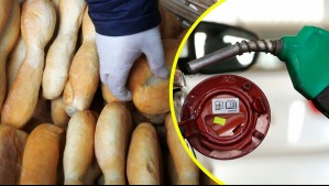 Subirá el pan: ¿A cuánto llegará el kilo tras el alza del precio de las bencinas?