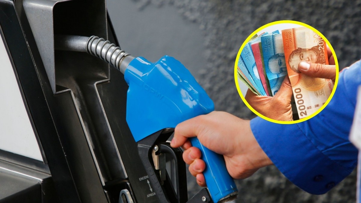 Este miércoles se anunciará el alza que tendrá la bencina de 97 octanos