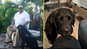 Perro guía detecta trombosis a su dueño y evita una posible muerte: 'No me dejó levantarme'