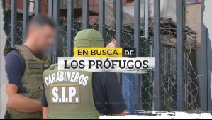 En busca de los prófugos: Dentro de las insólitas maniobras de quienes viven ocultos con órdenes de detención