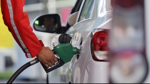 ¿Pensando en la conveniencia? Conoce cuáles son los modelos más rendidores que se venden en Chile