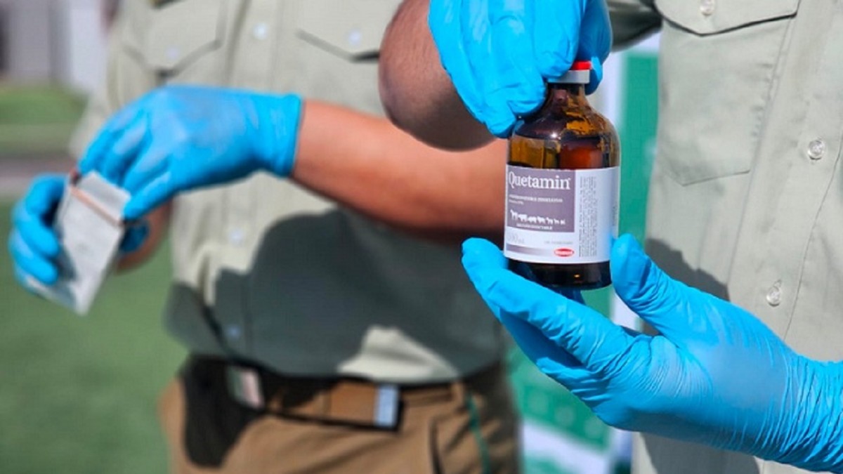 En prisión preventiva quedaron siete detenidos por vender ketamina en Instagram