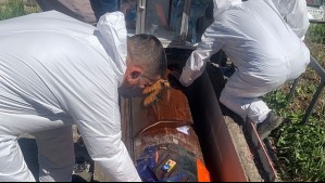 Grupo de amigos habrían desenterraron féretro en Chiloé y lo movieron a otro nicho por una eventual 'promesa en vida'