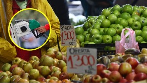 Gremio de ferias libres estima que productos agrícolas podrían subir hasta un 50% por alza de las bencinas
