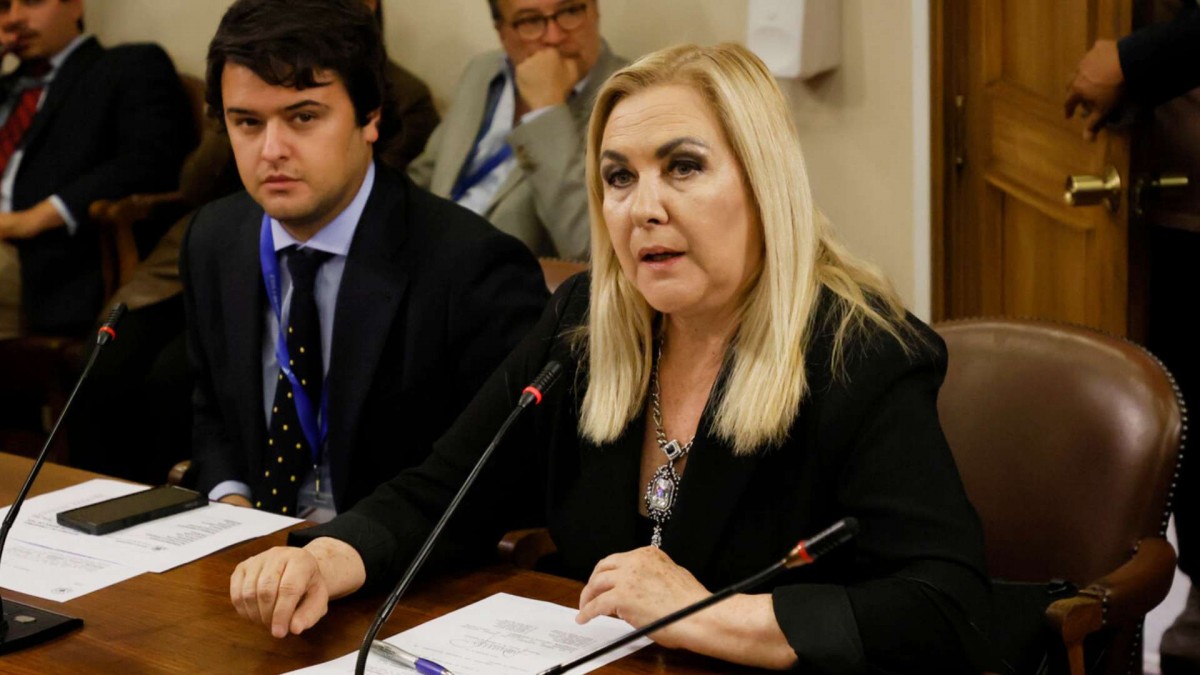 Diputa Jiles (PDG) presentó dos proyectos de retiro de fondos de AFP: Uno es un 10% y el otro es total para migrantes