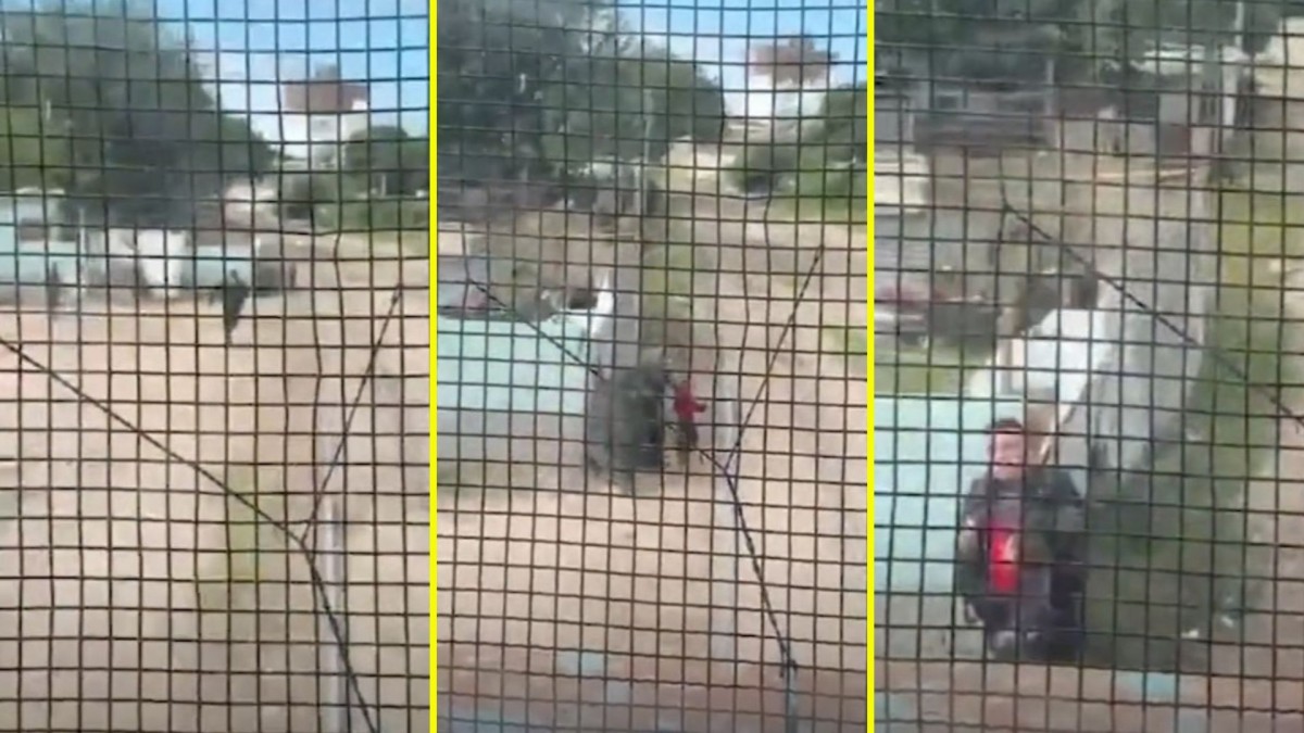 Policía arriesga su vida para salvar a niño de ser atropellado por un tren: Video muestra el momento exacto