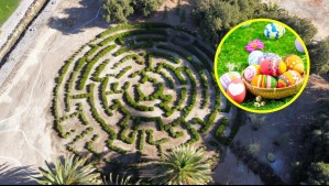 Búsqueda de huevos de pascua en un laberinto: Cementerio ofrece panorama gratuito al interior de sus parques