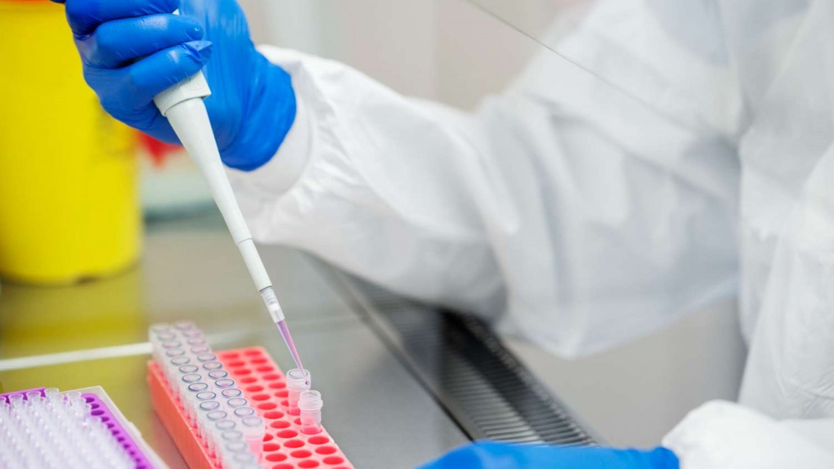 Científica argentina es acusada de robar dos virus desde laboratorio en Brasil: ¿Para qué los quería?