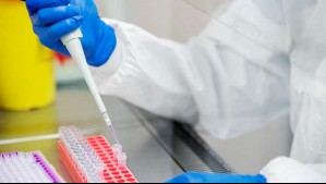 Científica argentina es acusada de robar dos virus desde laboratorio en Brasil: ¿Para qué los quería?