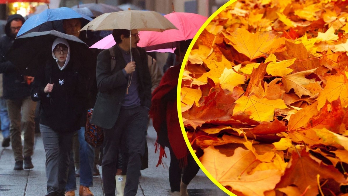 'Anticipa señales de invierno': Dirección Meteorológica detalla las zonas donde más podría llover durante el otoño