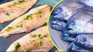 Pescadores denuncian a cinco nuevas marcas por venta de falso jurel: Aseguran que producto es caballa importada desde China