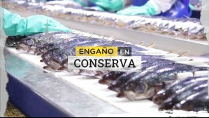 Engaño en conserva: Cinco marcas en la mira por venta de falso jurel