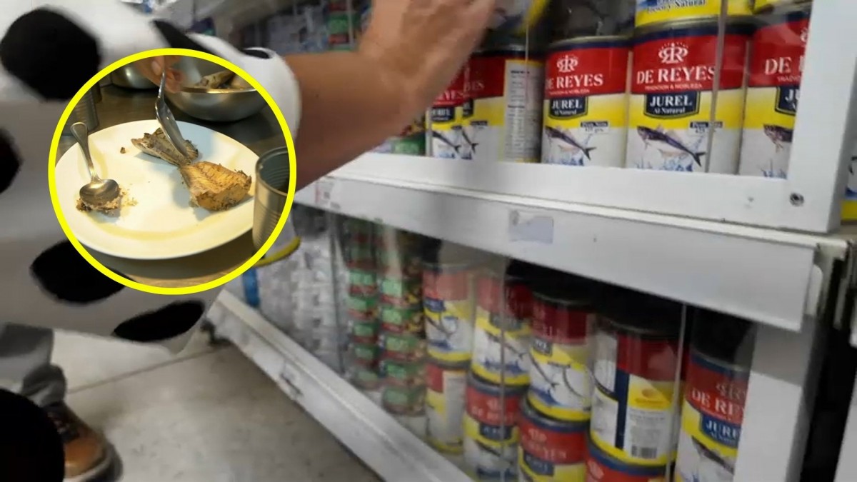 Estas son las 5 nuevas marcas denunciadas por vender jurel falso en Chile