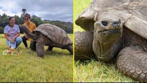 Estafadores difunden falsa muerte de la tortuga más longeva del mundo: Pedían criptomonedas a seguidores