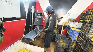 Descubren bodega clandestina en La Pintana: Adulteraban alimentos vencidos y los comercializaban como nuevos