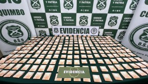 Enterró $30 millones en la casa donde trabajaba: Detienen a niñera por robar dinero en Coquimbo