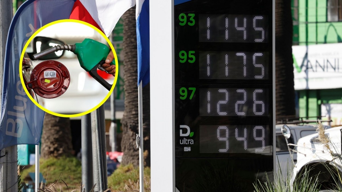 Chile es el país de la OCDE con la mayor alza en la bencina: Revisa su posición en el ranking mundial