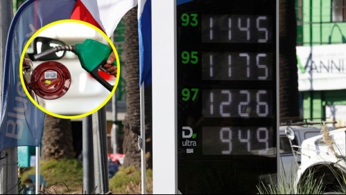 Chile es el país de la OCDE con la mayor alza en la bencina: Revisa su posición en el ranking mundial