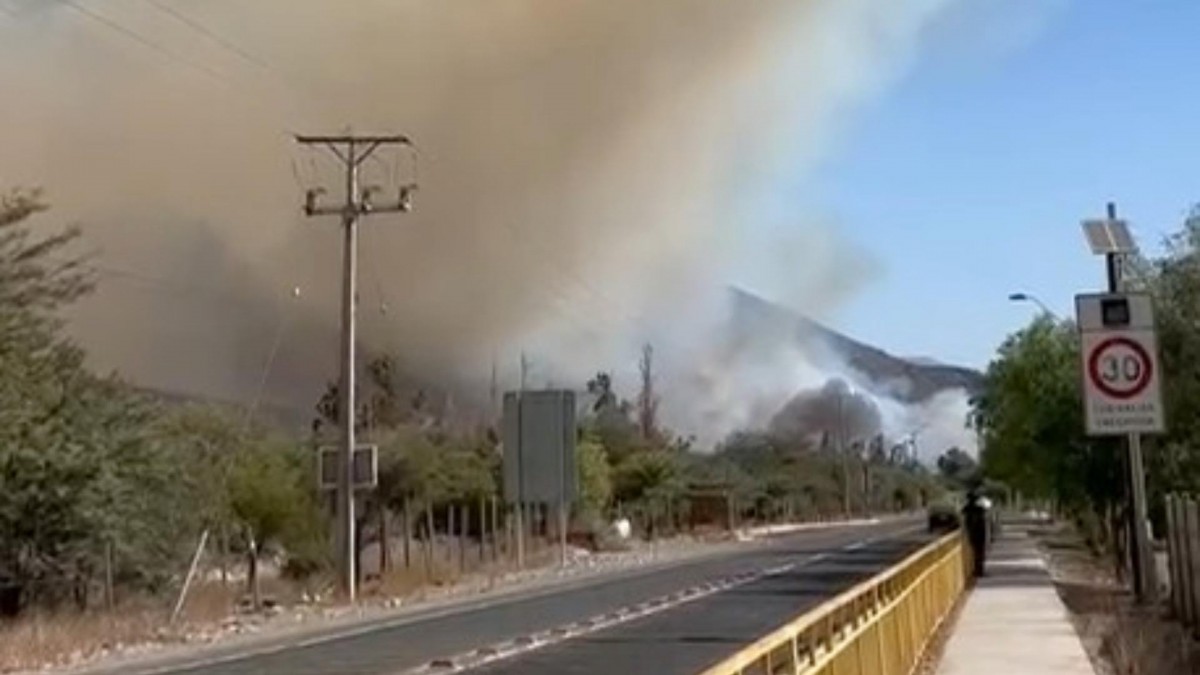 Alerta roja en Vicuña: Incendio forestal avanza cerca de sectores poblados