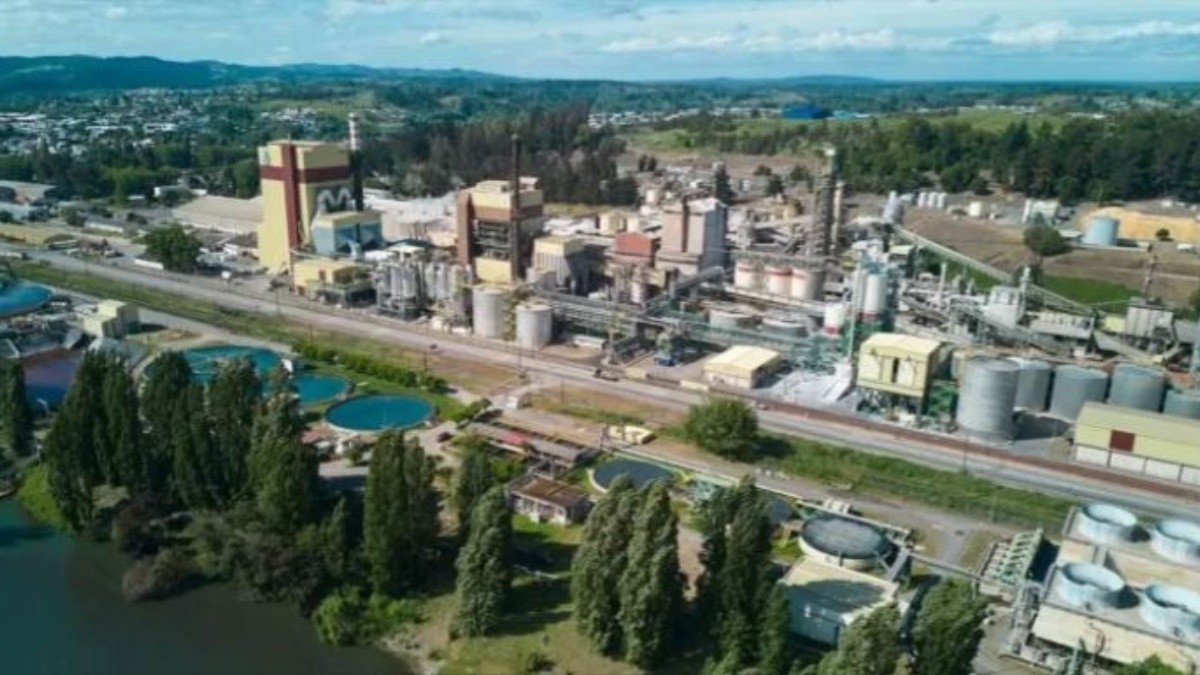 Trabajador muere al interior de planta de CMPC en Laja: Estuvo extraviado durante varias horas