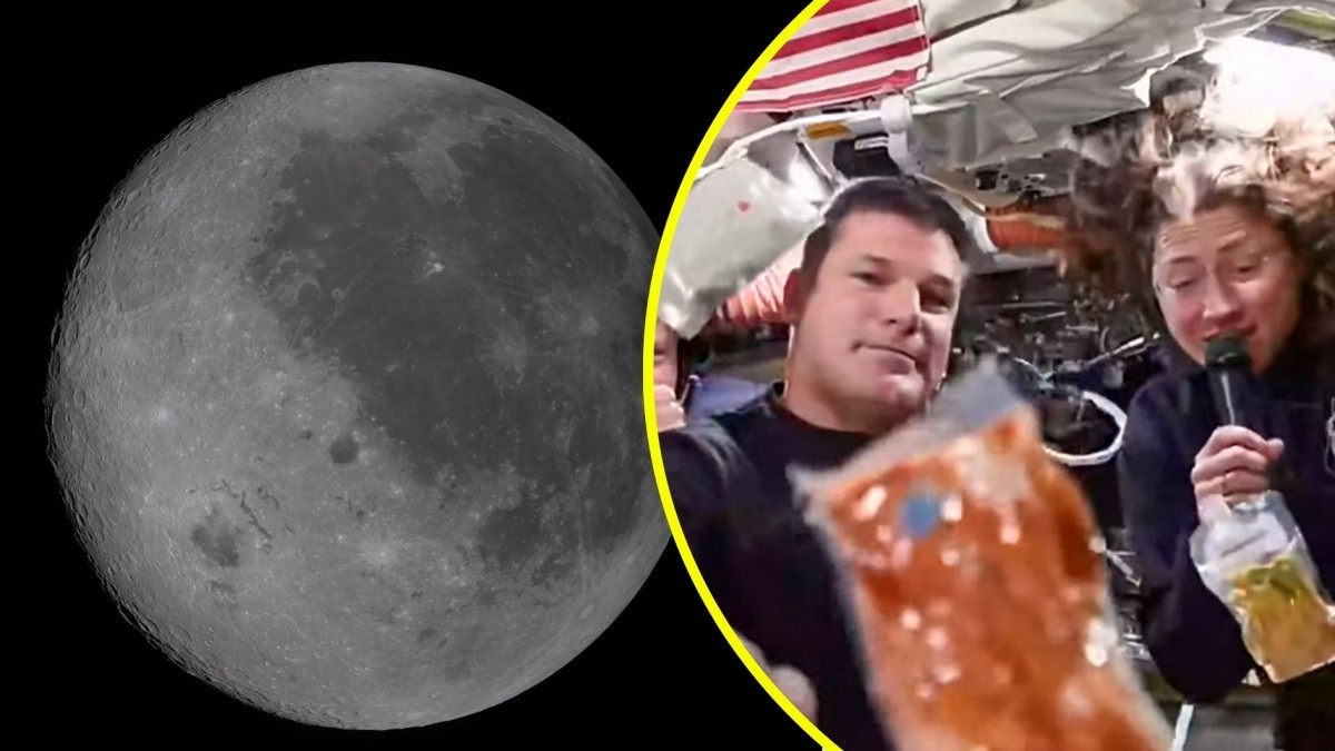 EN VIVO: Sigue el histórico sobrevuelo lunar de Artemis II