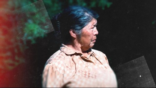 Fiscalía revela hallazgo de osamentas humanas en predio de Julia Chuñil