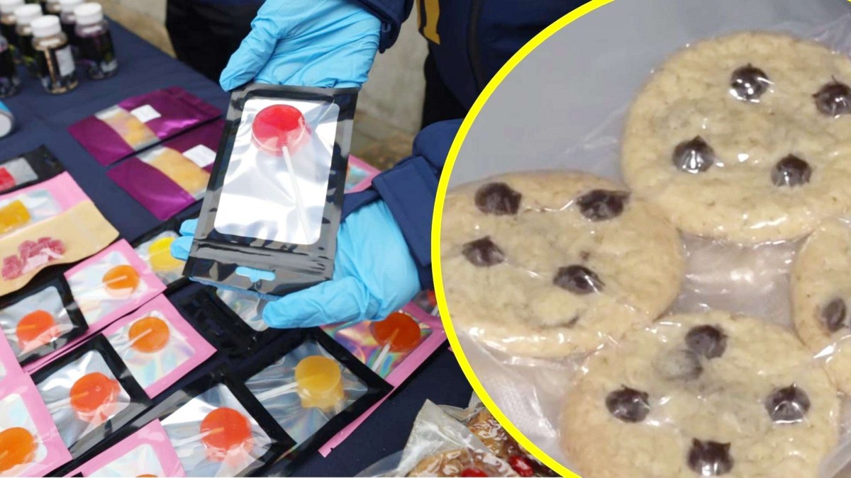 Desbaratan banda narco 'premium' con más de 135 kilos de droga: Vendían gomitas, chocolates y miel de marihuana por internet