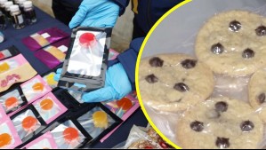Desbaratan banda narco 'premium' con más de 135 kilos de droga: Vendían gomitas, chocolates y miel de marihuana por internet