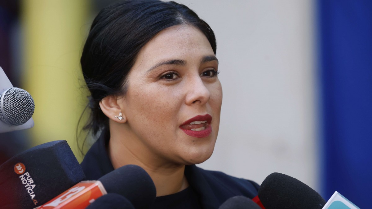 Informe PDI establece que Cariola habría cometido tráfico de influencias al interceder por empresario chino