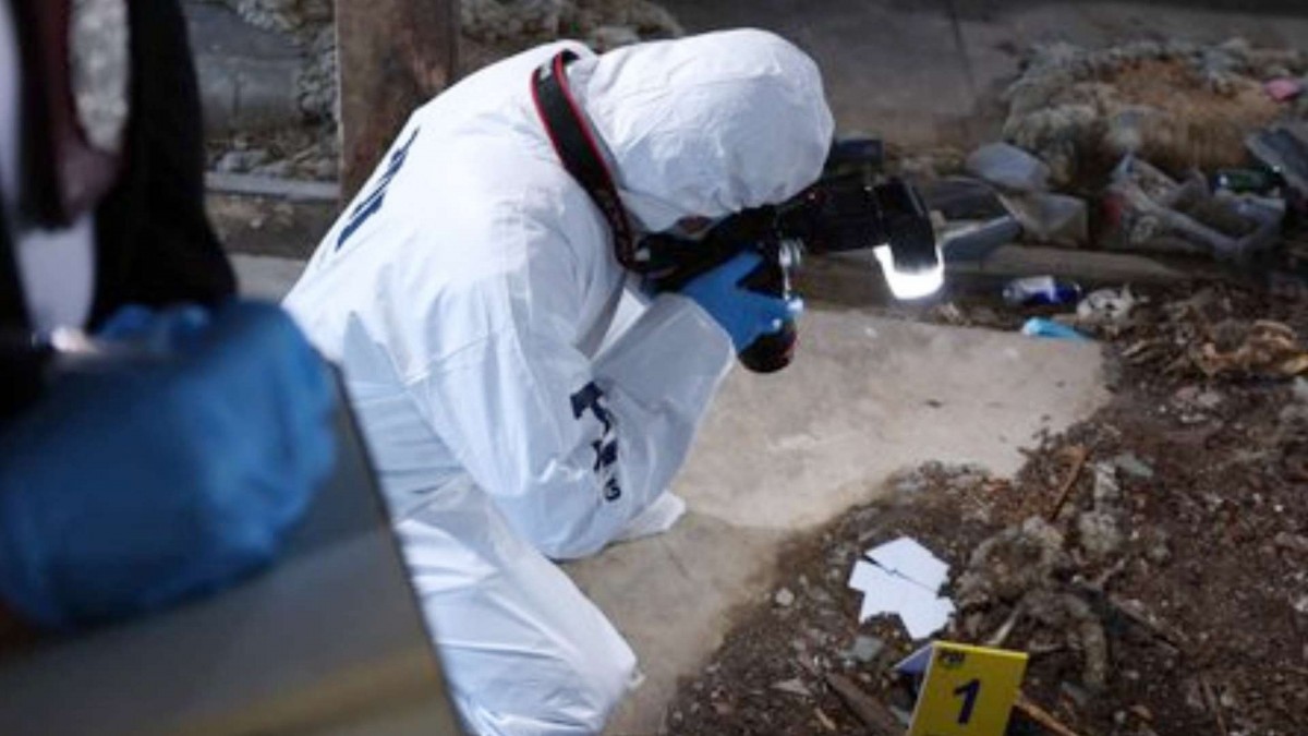 Niña muere tras ser atacada por perros en Chillán: Investigación busca determinar eventuales responsabilidades