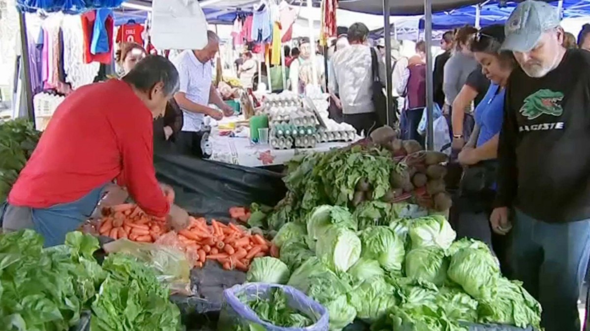 Por cambio de estación y alza de los combustibles: Estas son las frutas y verduras que subieron de precio
