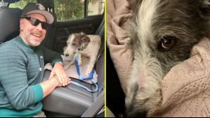 José Antonio Neme conmovió a sus seguidores al presentar a su nueva mascota: Es un animal rescatado