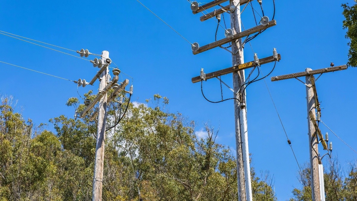 Enel implementa plan de poda preventiva para evitar cortes de luz en la ciudad