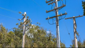 Enel implementa plan de poda preventiva para evitar cortes de luz en la ciudad