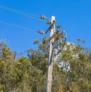 Enel implementa plan de poda preventiva para evitar cortes de luz en la ciudad