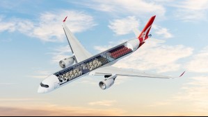 Camarotes cerrados con camas de dos metros y cabinas anti-jet lag: a bordo del avión que realizará el vuelo más largo del mundo