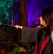 Revisa cómo comprar entradas para Harry Potter: La Experiencia del Bosque Prohibido en Santiago, un recorrido inmersivo nocturno que llega al Parque Quinta Normal desde el 24 de abril.