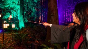 'Harry Potter: la Experiencia del Bosque Prohibido' llega al Parque Quinta Normal: ¿Cuánto cuestan las entradas?