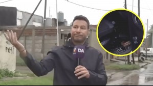 'Vení para acá, chorro': Periodista argentino sufrió robo de sus equipos y encontró a ladrones en pleno despacho