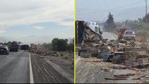 Camión con panales de abejas volcó en la ruta 5 Norte: Conductor fue asistido tras recibir múltiples picaduras