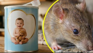 Encuentran veneno para ratones en comida para bebés en Austria