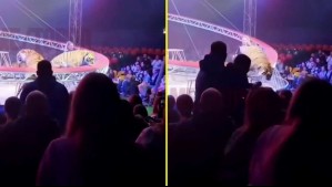 Tigre genera pánico al saltar hacia el público en un circo de Rusia